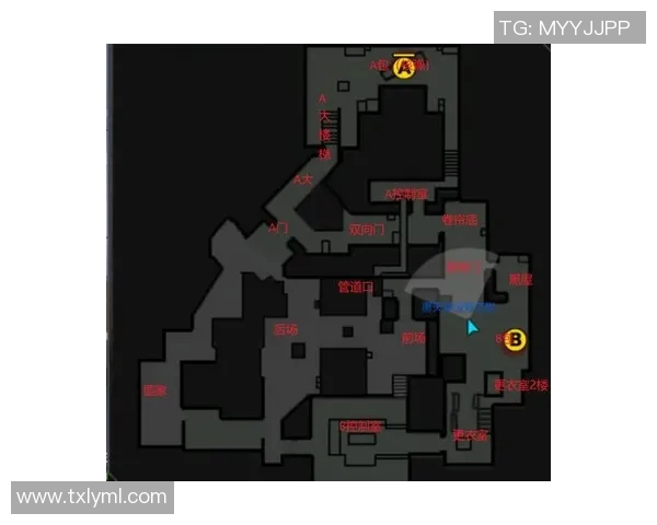 南京羽毛球队阵地战打法深度解析与战术优势剖析