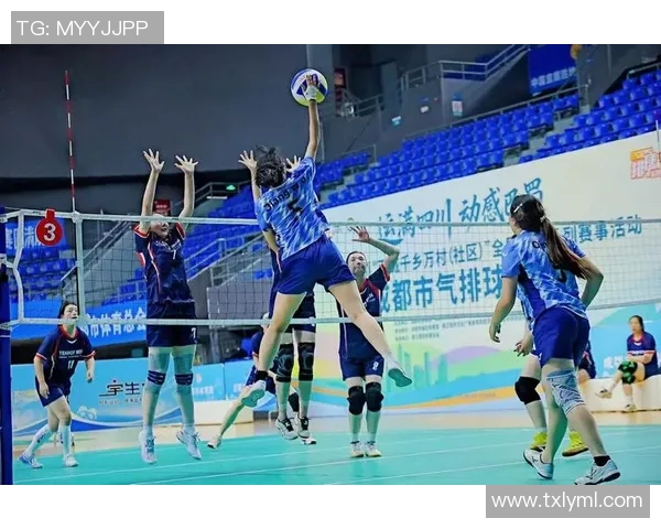 成都排球队比赛经验的创新与变革引发热议