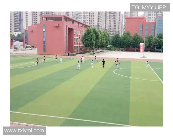 美羊羊足球明星带你领略绿茵场上的激情与梦想，开启快乐运动新篇章